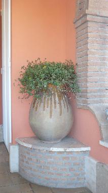 Holiday Apartment in Ardea Roma (Roma) or holiday homes and vacation rentals