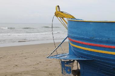 Holiday Apartment in Ardea Roma (Roma) or holiday homes and vacation rentals