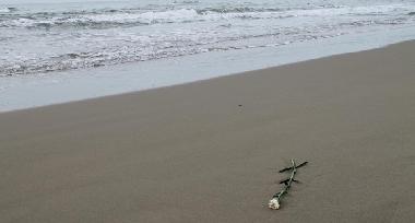 Holiday Apartment in Ardea Roma (Roma) or holiday homes and vacation rentals