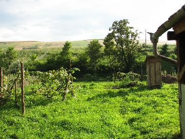 Holiday House in Cund (Mures) or holiday homes and vacation rentals