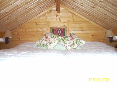 Holiday House in Palma de Mallorca (Mallorca) or holiday homes and vacation rentals