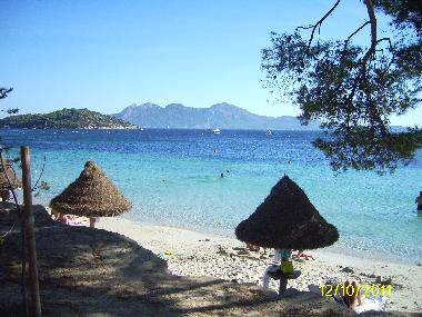 Holiday House in Palma de Mallorca (Mallorca) or holiday homes and vacation rentals