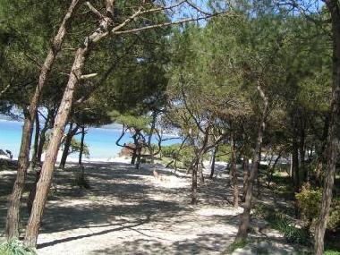 Bed and Breakfast in Alghero (Sassari) or holiday homes and vacation rentals