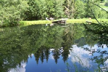 Holiday Apartment in 8820 (stliche Obersteiermark) or holiday homes and vacation rentals