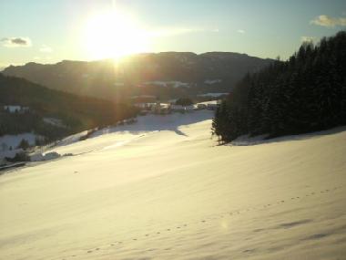 Holiday Apartment in 8820 (stliche Obersteiermark) or holiday homes and vacation rentals