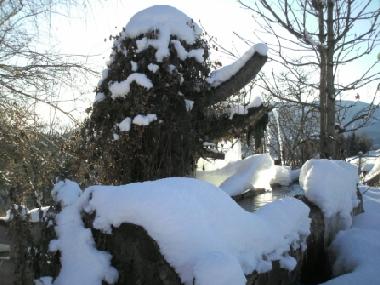 Holiday Apartment in 8820 (stliche Obersteiermark) or holiday homes and vacation rentals