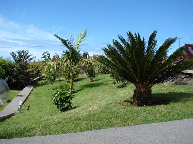 Holiday House in Prazeres (Madeira) or holiday homes and vacation rentals
