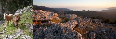 Holiday House in Tortorella (Salerno) or holiday homes and vacation rentals