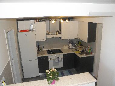 Holiday Apartment in Dubrovnik (Dubrovacko-Neretvanska) or holiday homes and vacation rentals