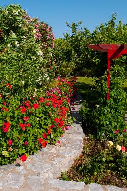 The wonderful garden