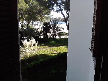 Holiday Apartment in Pto.Alcudia (Mallorca) or holiday homes and vacation rentals