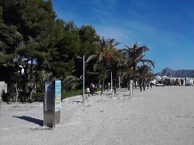 Holiday Apartment in Pto.Alcudia (Mallorca) or holiday homes and vacation rentals