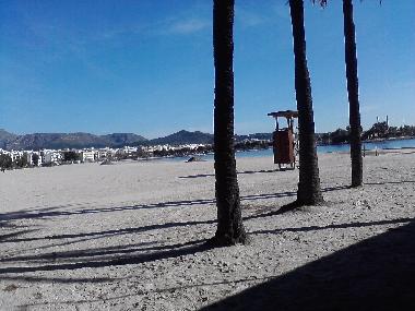 Holiday Apartment in Pto.Alcudia (Mallorca) or holiday homes and vacation rentals