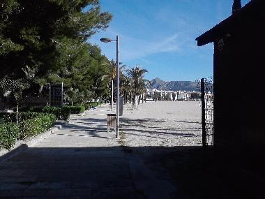 Holiday Apartment in Pto.Alcudia (Mallorca) or holiday homes and vacation rentals
