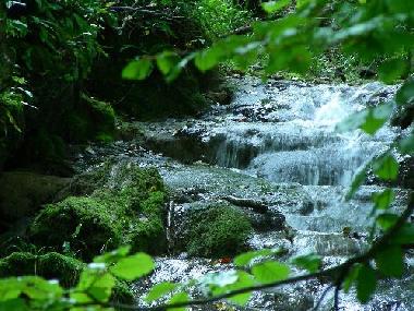 Holiday Apartment in Bad Urach (Schw�bische Alb) or holiday homes and vacation rentals