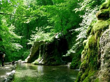 Holiday Apartment in Bad Urach (Schw�bische Alb) or holiday homes and vacation rentals