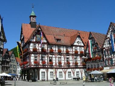 Holiday Apartment in Bad Urach (Schw�bische Alb) or holiday homes and vacation rentals
