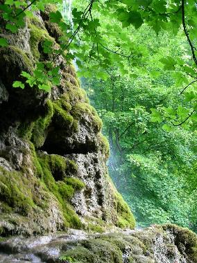 Holiday Apartment in Bad Urach (Schw�bische Alb) or holiday homes and vacation rentals