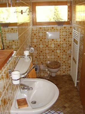 Holiday Apartment in Schnmnzach (Black Forest) or holiday homes and vacation rentals