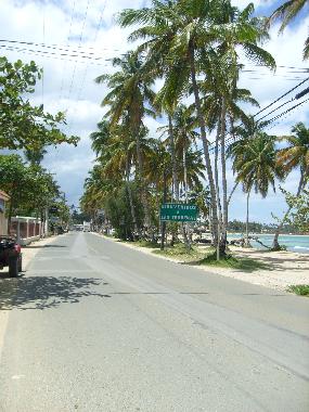 Holiday Apartment in Las Terrenas (Samana) or holiday homes and vacation rentals