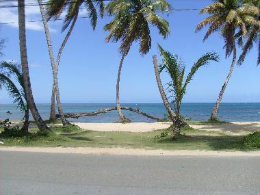 Holiday Apartment in Las Terrenas (Samana) or holiday homes and vacation rentals