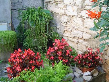 Villa in Lumbarda (Dubrovacko-Neretvanska) or holiday homes and vacation rentals