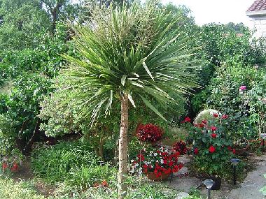 Villa in Lumbarda (Dubrovacko-Neretvanska) or holiday homes and vacation rentals