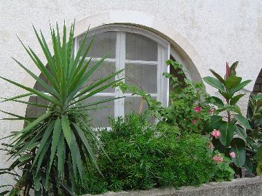 Villa in Lumbarda (Dubrovacko-Neretvanska) or holiday homes and vacation rentals