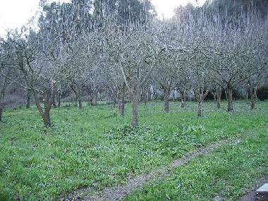 Holiday Apartment in Bueu (Pontevedra) or holiday homes and vacation rentals