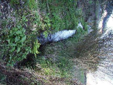 Holiday Apartment in Bueu (Pontevedra) or holiday homes and vacation rentals