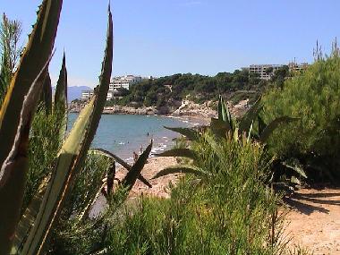 Holiday Apartment in Salou (Tarragona) or holiday homes and vacation rentals