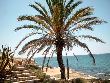 Holiday Apartment in Salou (Tarragona) or holiday homes and vacation rentals