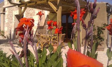 Holiday House in Manacor (Mallorca) or holiday homes and vacation rentals