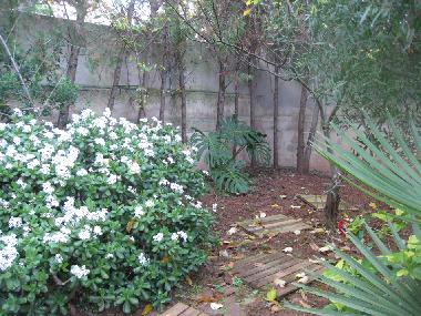 Holiday House in colonia de san pedro (Mallorca) or holiday homes and vacation rentals