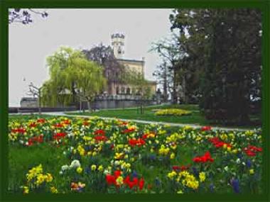Holiday Apartment in Langenargen (Lake of Constance) or holiday homes and vacation rentals