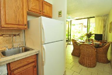 Holiday Apartment in Kaanapali (Hawaii) or holiday homes and vacation rentals