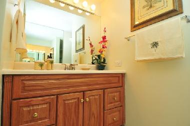 Holiday Apartment in Kaanapali (Hawaii) or holiday homes and vacation rentals