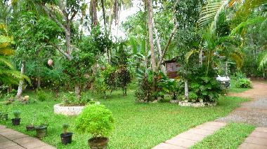 Another section of the Garden