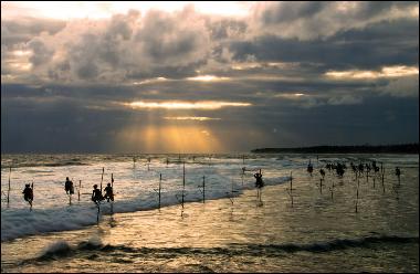 Stillt fishermen at Ahangama Beach 