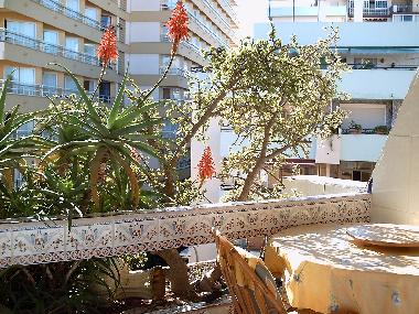 Holiday Apartment in Torremolinos (M�laga) or holiday homes and vacation rentals