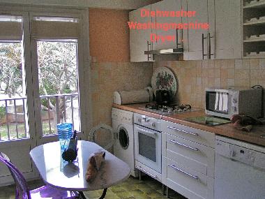 Holiday Apartment in Erbalunga Cap corse (Haute-Corse) or holiday homes and vacation rentals