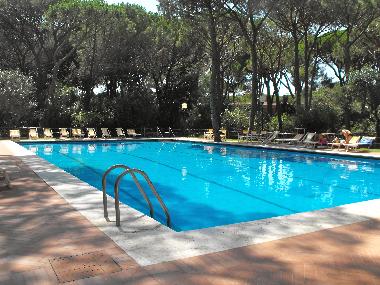 Holiday Apartment in castiglione della pescaia (Grosseto) or holiday homes and vacation rentals