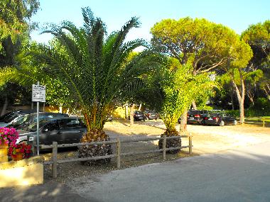 Holiday Apartment in castiglione della pescaia (Grosseto) or holiday homes and vacation rentals