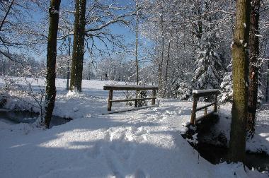 Holiday Apartment in Burg/Spreewald (Spree-Neie) or holiday homes and vacation rentals