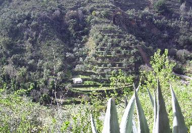 Holiday House in Albunuelas (Granada) or holiday homes and vacation rentals