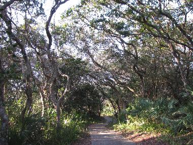 Path  leading to the Atlantic Ocean (in December)
