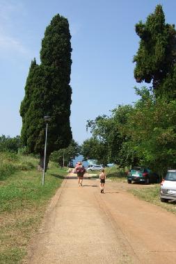 Holiday Apartment in Novigrad - Istrien (Istarska) or holiday homes and vacation rentals