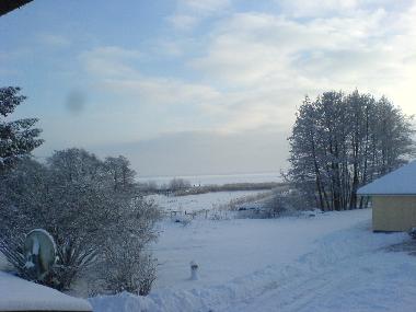 Holiday House in Wieck auf dem Darss (Fischland-Dar-Zingst) or holiday homes and vacation rentals