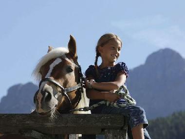 Holiday Apartment in Castelbellino (Ancona) or holiday homes and vacation rentals