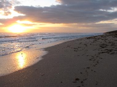Holiday House in New Smyrna Beach (Florida) or holiday homes and vacation rentals